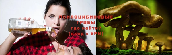 трава Бронницы