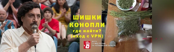 трава Бронницы