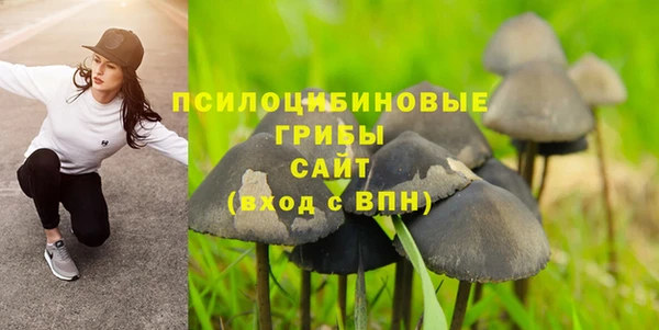 трава Бронницы