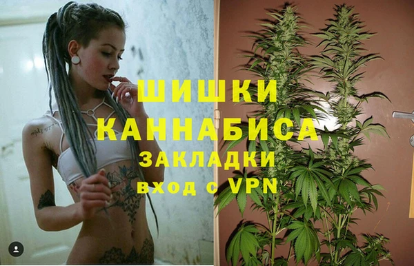 трава Бронницы