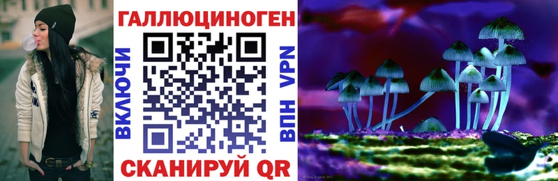 Псилоцибиновые грибы мухоморы  Купить где  Куса 